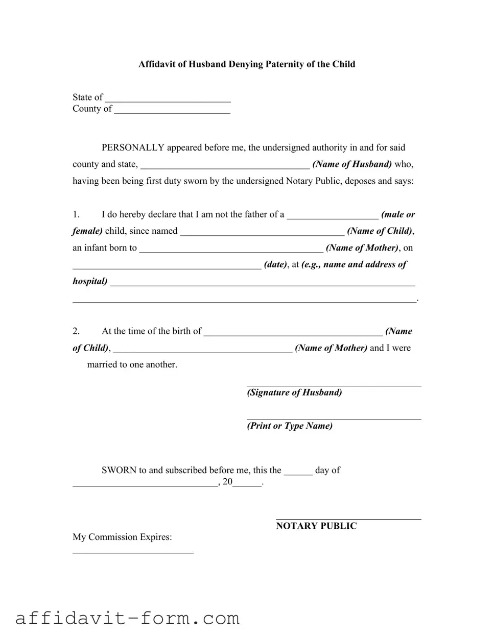 Blank Affidavit Denying Paternity PDF Template